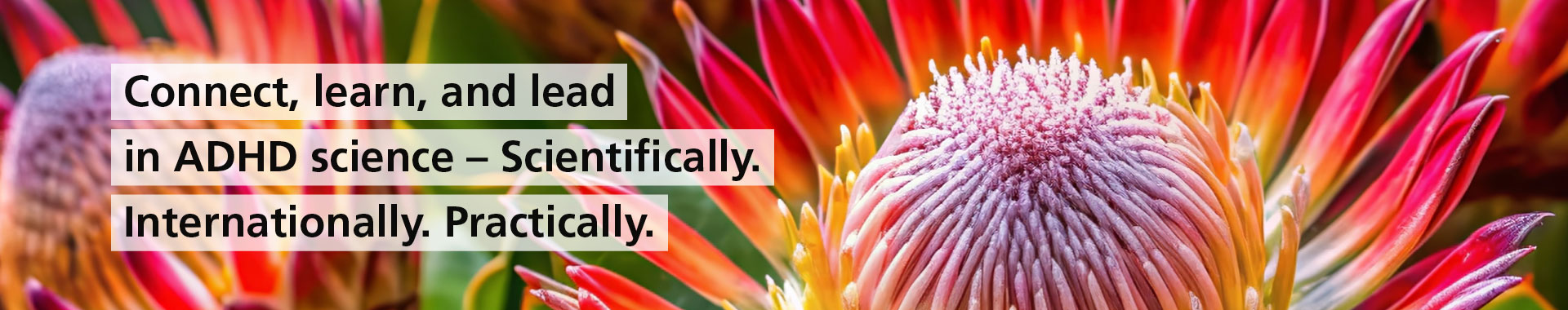 Connect, learn, and lead in ADHD science - Scientifically. Internationally. Practically.