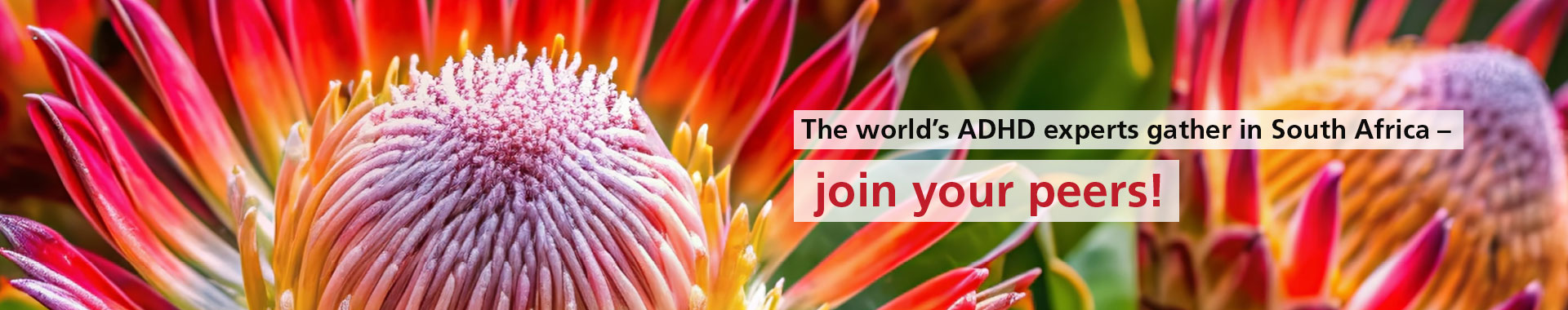 The world's ADHD experts gather in South Africa - join your peers!